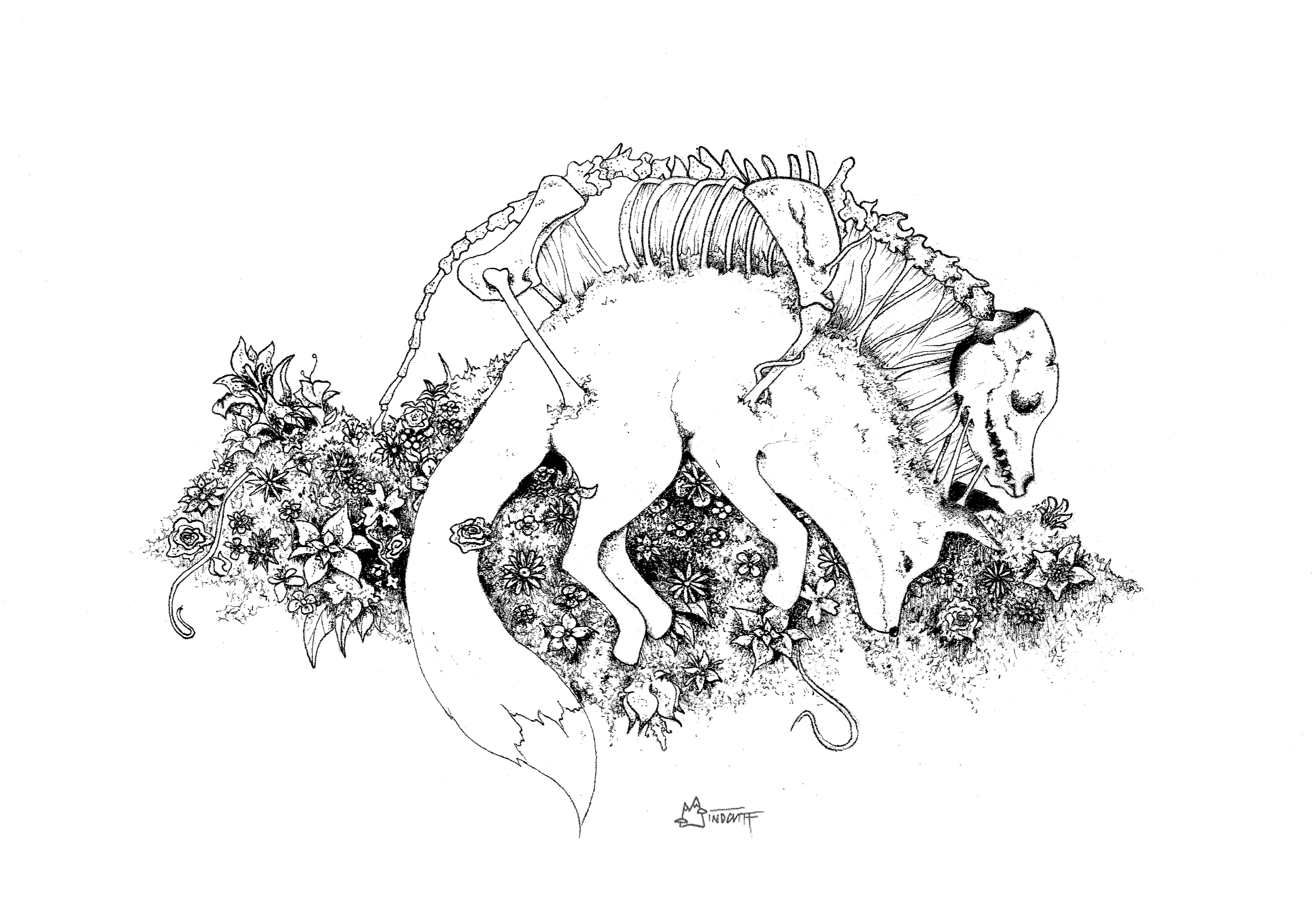 Nothin' but Skin n Bones