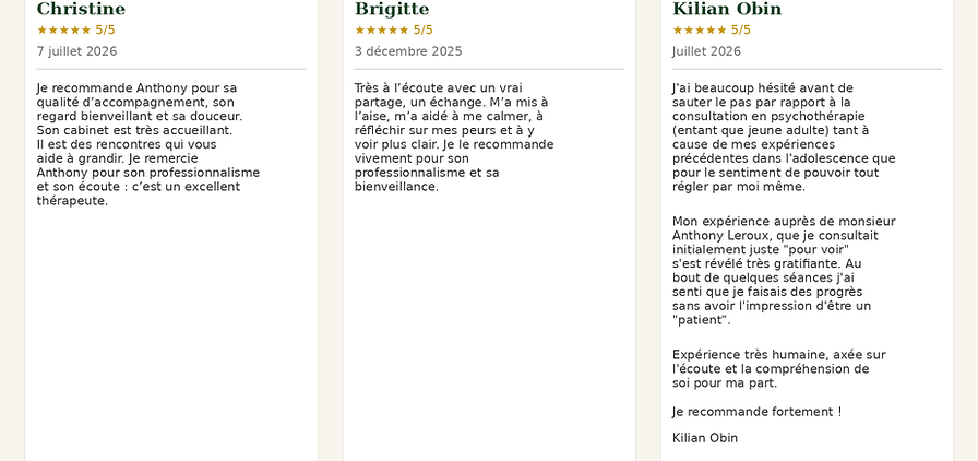 Avis_Google_Gestalt_3_temoignages.png