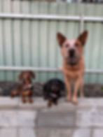 Safe at home -Dorothy, Valerie & Mason.