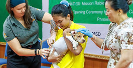 WVS - Large-scale campaign in Cambodia kick offs today!