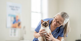 PetSure welcomes the South Australian parliament’s inquiry into veterinarian mental health and wellbeing