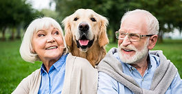 Victoria Leads Nation With Pet-Friendly Aged Care Reform. CANA urges national action to keep older people and pets together