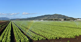 CropLife Australia calls for science-centered approach to productivity this Science Week