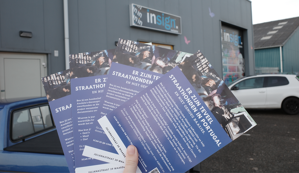 Flyer voor mission impawsible