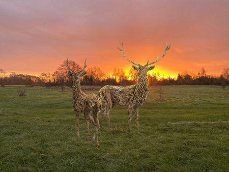 Artist Spotlight: James Doran-Webb