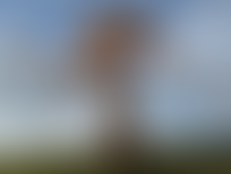 Monumental Sculptures to be exhibited at The Game Fair this weekend