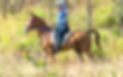 Amigo & Sonya LM.jpg