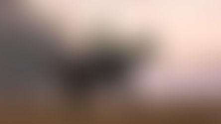 A Goal without a Plan is just a Wish!