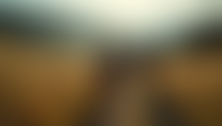 Essential Tips for Planning Your First Horse Trail Adventure