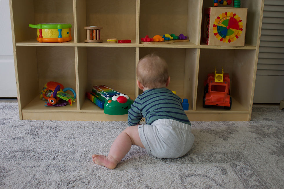toy display