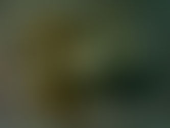 大瀬崎海洋速報 2025/2/24(月)