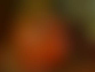 IOP海洋速報　2023/7/28（金）