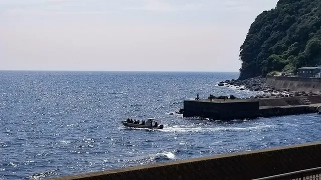 Lei Aloha Hokkawa