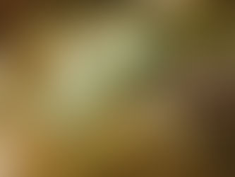 大瀬崎海洋速報 2023/2/10(金)