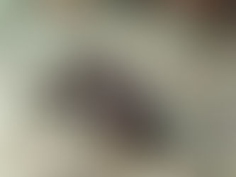 大瀬崎海洋速報 2023/2/27(月)