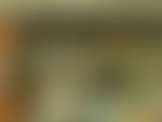 IOP海洋速報　2023/5/8（月）