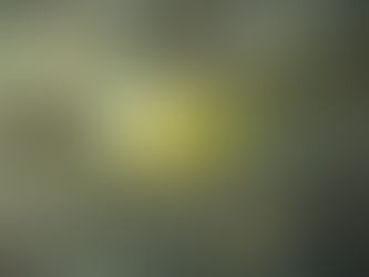 大瀬崎海洋速報 2024/1/8(月)