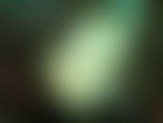 大瀬崎海洋速報 2023/6/11(日)