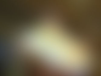 大瀬崎海洋速報 2024/5/16(木)