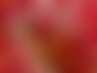 IOP海洋速報　2023/3/21（火）