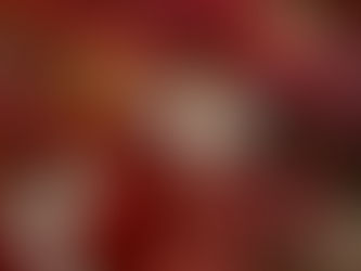 IOP海洋速報　2023/12/24（日）