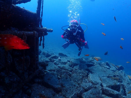 大瀬崎海洋速報 2025/8/4(月)