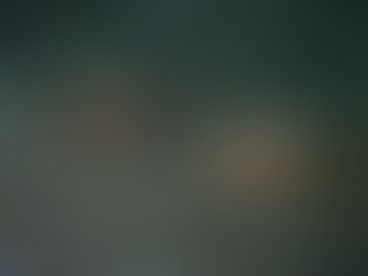 大瀬崎海洋速報 2023/11/24(金)