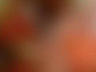 大瀬崎海洋速報 2025/11/16(日)