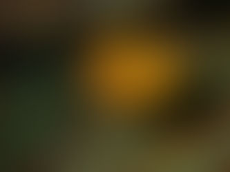 IOP海洋速報　2023/5/2（火）