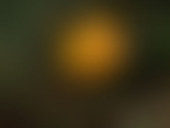 IOP海洋速報　2023/4/21（金）