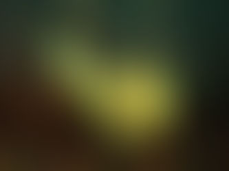 大瀬崎海洋速報 2023/12/8(金)