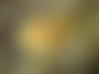 大瀬崎海洋速報 2023/4/21(金)