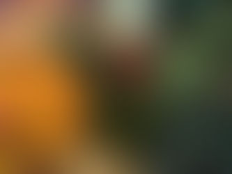 IOP海洋速報　2023/4/25（火）