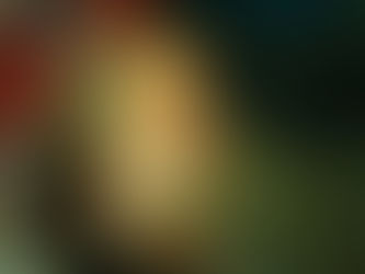 大瀬崎海洋速報 2024/5/10(金)