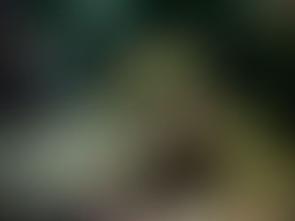 大瀬崎海洋速報 2023/8/20(日)