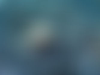 大瀬崎海洋速報 2023/2/16(木)