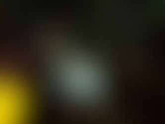 IOP海洋速報　2023/9/27（水）