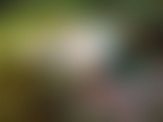 大瀬崎海洋速報 2023/10/29(日)