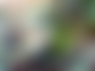 大瀬崎海洋速報 2024/3/6(水)