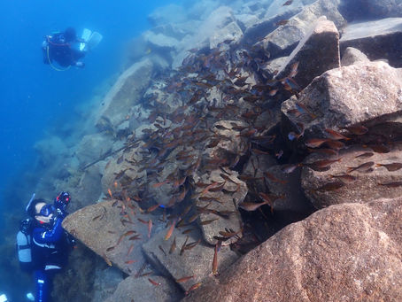大瀬崎海洋速報 2025/7/13(日)