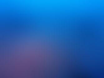 大瀬崎海洋速報 2024/2/24(土)