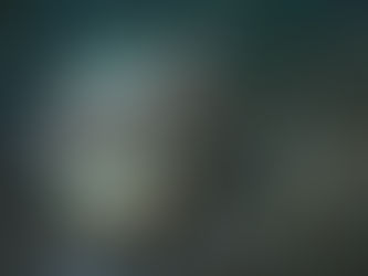 大瀬崎海洋速報 2024/6/1(土)