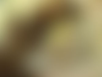 大瀬崎海洋速報 2024/2/10(土)