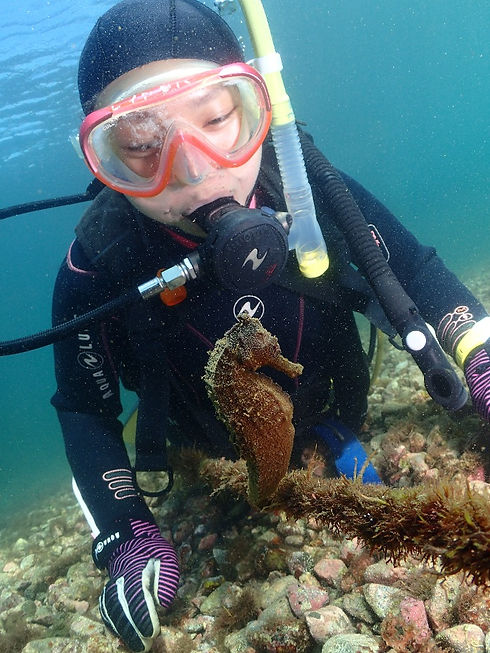 Lei Aloha Fish ID SP