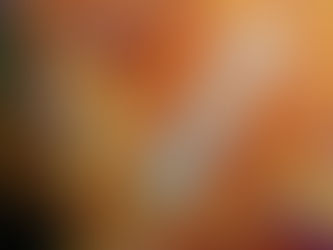 大瀬崎海洋速報 2024/4/1(月)