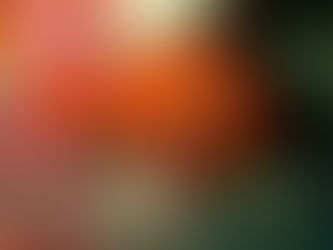 IOP海洋速報　2024/9/10（火）