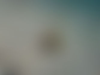 大瀬崎海洋速報 2023/4/18(火)