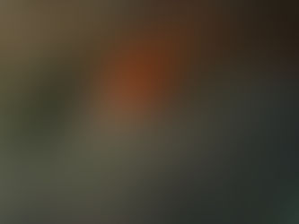 大瀬崎海洋速報 2023/12/13(水)