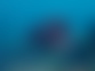 IOP海洋速報 2025/5/5(月)