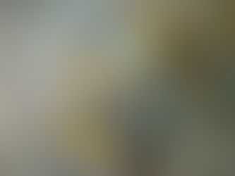 大瀬崎海洋速報 2024/2/20(火)